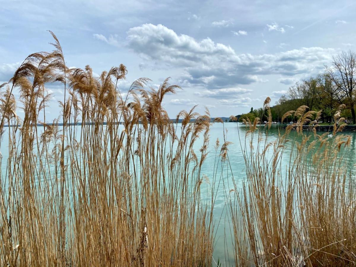 Kekmadaras Vendeghaz Tihany Dış mekan fotoğraf